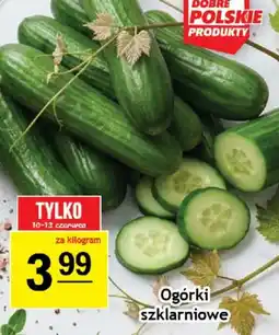 Gram Market Ogórki oferta