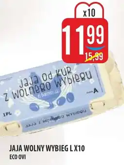 MOKPOL Eco Ovi Jaja Wolny Wybieg L oferta