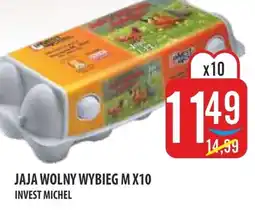 MOKPOL Invest Michel Jaja Wolny Wybieg M oferta