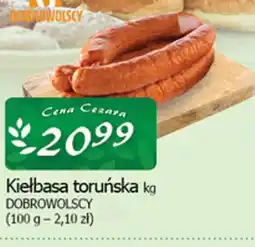 Cezar Delikatesy Dobrowolscy Kiełbasa toruńska oferta
