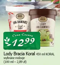 Cezar Delikatesy Bracia Koral Lody oferta