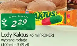 Cezar Delikatesy Froneri Lody Kaktus oferta