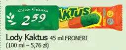 Cezar Delikatesy Froneri Lody Kaktus oferta