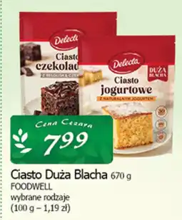 Cezar Delikatesy Delecta Ciasto Duża Blacha oferta