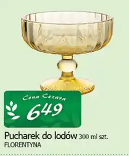 Cezar Delikatesy Florentyna Pucharek do lodów oferta