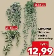 Kaufland LIVARNO Sztuczna roślina oferta