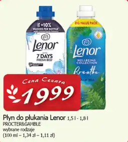 Cezar Delikatesy Lenor Płyn do płukania oferta