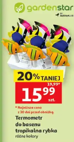 Auchan Termometr do basenu tropikalna rybka oferta