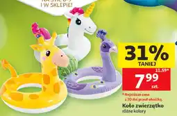 Auchan Koło zwierzątko oferta