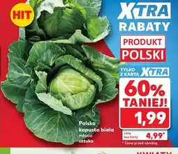 Kaufland Polska kapusta biała młoda sztuka oferta