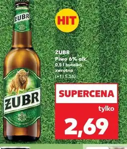 Kaufland Żubr Piwo 6% alk oferta