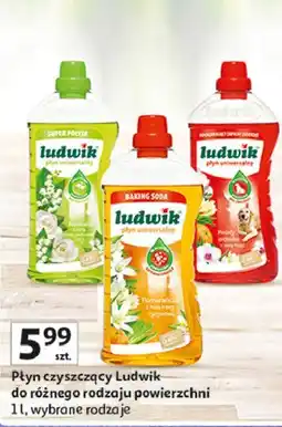 Auchan Ludwik Płyn czyszczący do różnego rodzaju powierzchni oferta