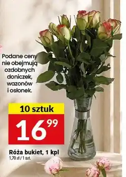 Twój Market Róża bukiet 10-pak oferta