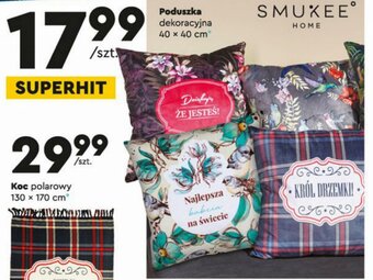Biedronka Poduszka oferta