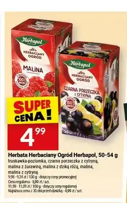 Twój Market Herbata owocowa Herbapol Herbaciany Ogród czarna porzeczka z cytryną oferta
