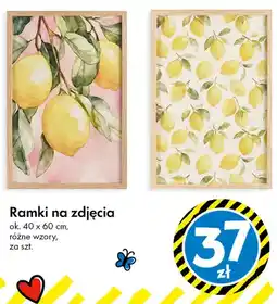 Tedi Ramka na zdjęcia TEDi 40x60 cm oferta