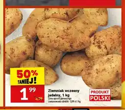 Twój Market Ziemniaki wczesne jadalne polskie oferta