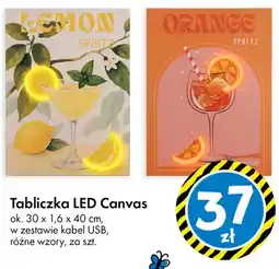 Tedi Tabliczka LED Canvas 30x1,6x40 cm oferta