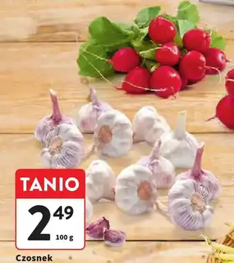Intermarche Czosnek luz oferta