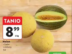 Intermarche Melon Galia luz oferta