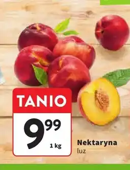 Intermarche Nektaryna luz oferta