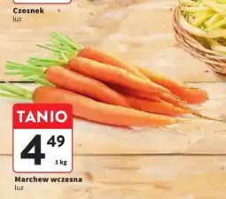Intermarche Marchew wczesna luz oferta