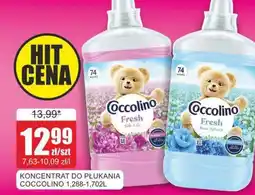 Bingo Coccolino Koncentrat do płukania oferta
