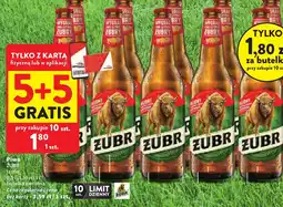 Intermarche Żubr Piwo jasne oferta