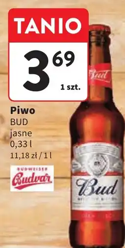 Intermarche Budweiser Budvar Bud Piwo jasne oferta