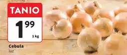 Intermarche Cebula oferta