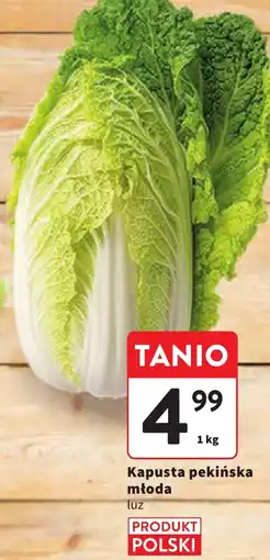 Intermarche Kapusta pekińska młoda oferta
