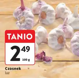 Intermarche Czosnek oferta