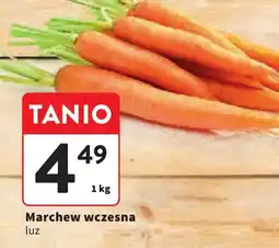 Intermarche Marchew wczesna oferta