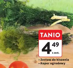 Intermarche Zestaw do kiszenia Koper ogrodowy oferta
