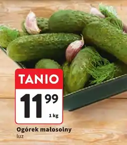 Intermarche Ogórek małosolny oferta