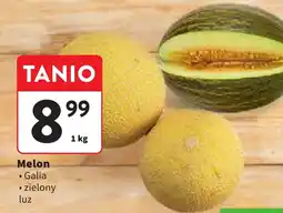Intermarche Melon oferta