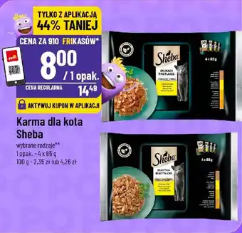 Karma dla kota Sheba