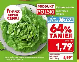 Kaufland Sałata masłowa polska oferta