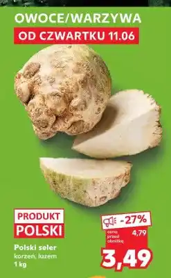 Kaufland Seler korzeń polski oferta