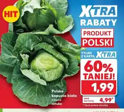 Kaufland Kapusta biała młoda polska oferta