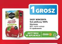 Kaufland Sok jabłkowy 100% tłoczony NFC Sady Wincenta oferta
