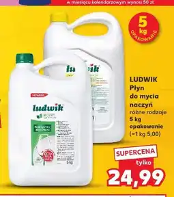 Kaufland Płyn do mycia naczyń Ludwik oferta
