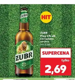 Kaufland Piwo Żubr oferta