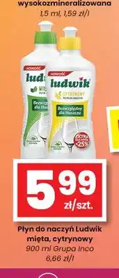 EMMA market Płyn do naczyń Ludwik mięta oferta