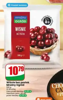 Dino Wiśnie bez pestek Mroźny Ogród oferta