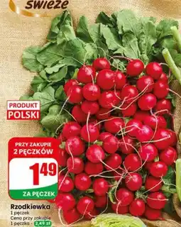Dino Rzodkiewka polska oferta