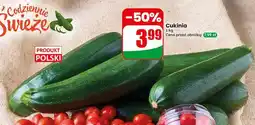 Dino Cukinia polska oferta