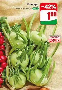 Dino Kalarepa polska oferta