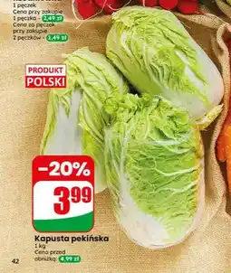 Dino Kapusta pekińska polska oferta