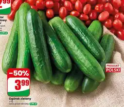 Dino Ogórek zielony polski oferta